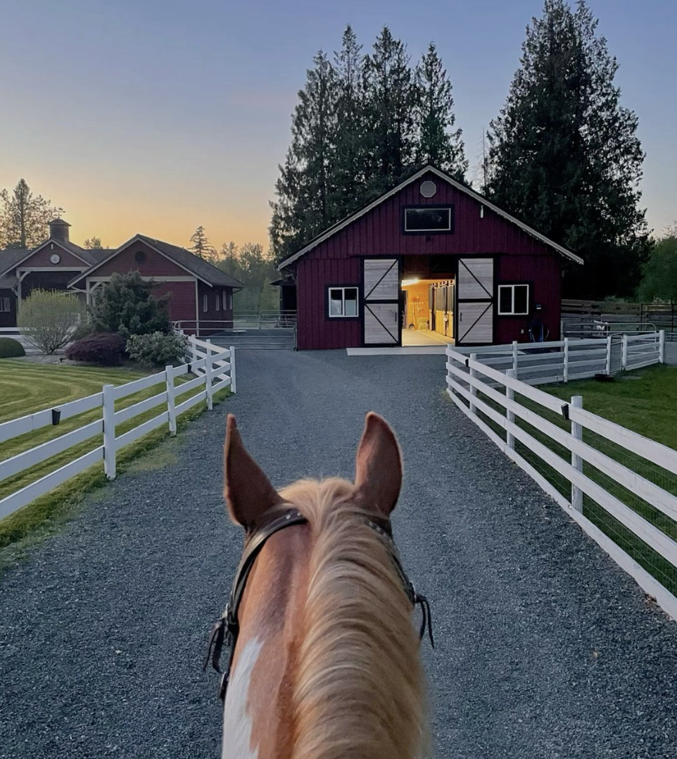 Living a slower life