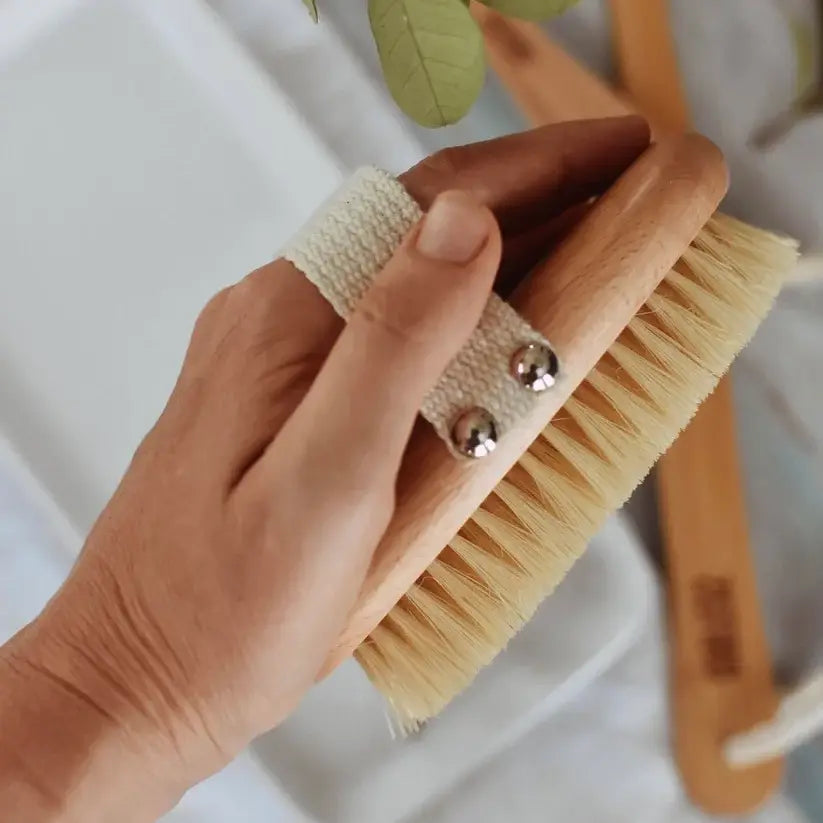 Dottie Dry Brush
