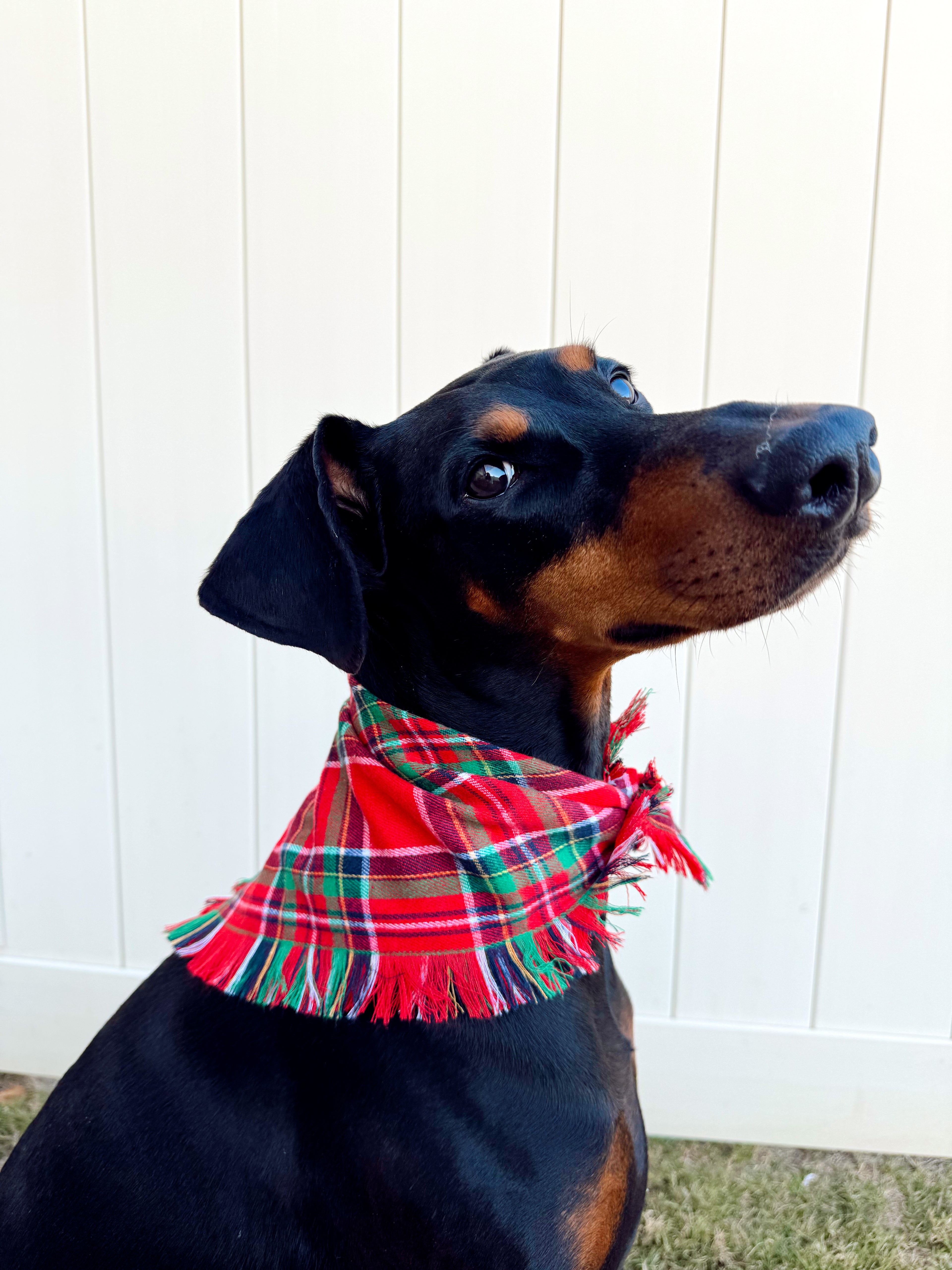 Christmas Fringe Bandana