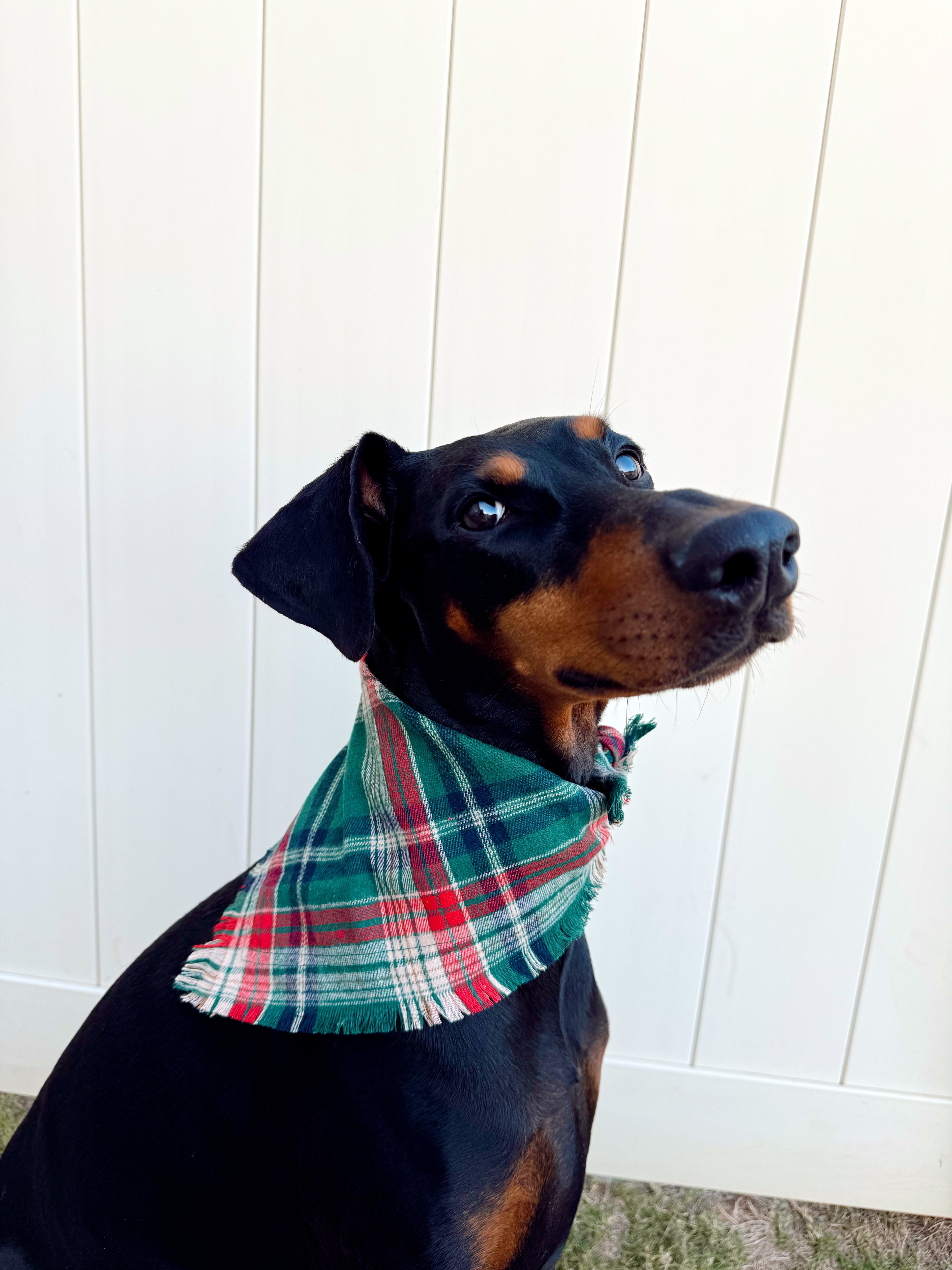 Christmas Fringe Bandana