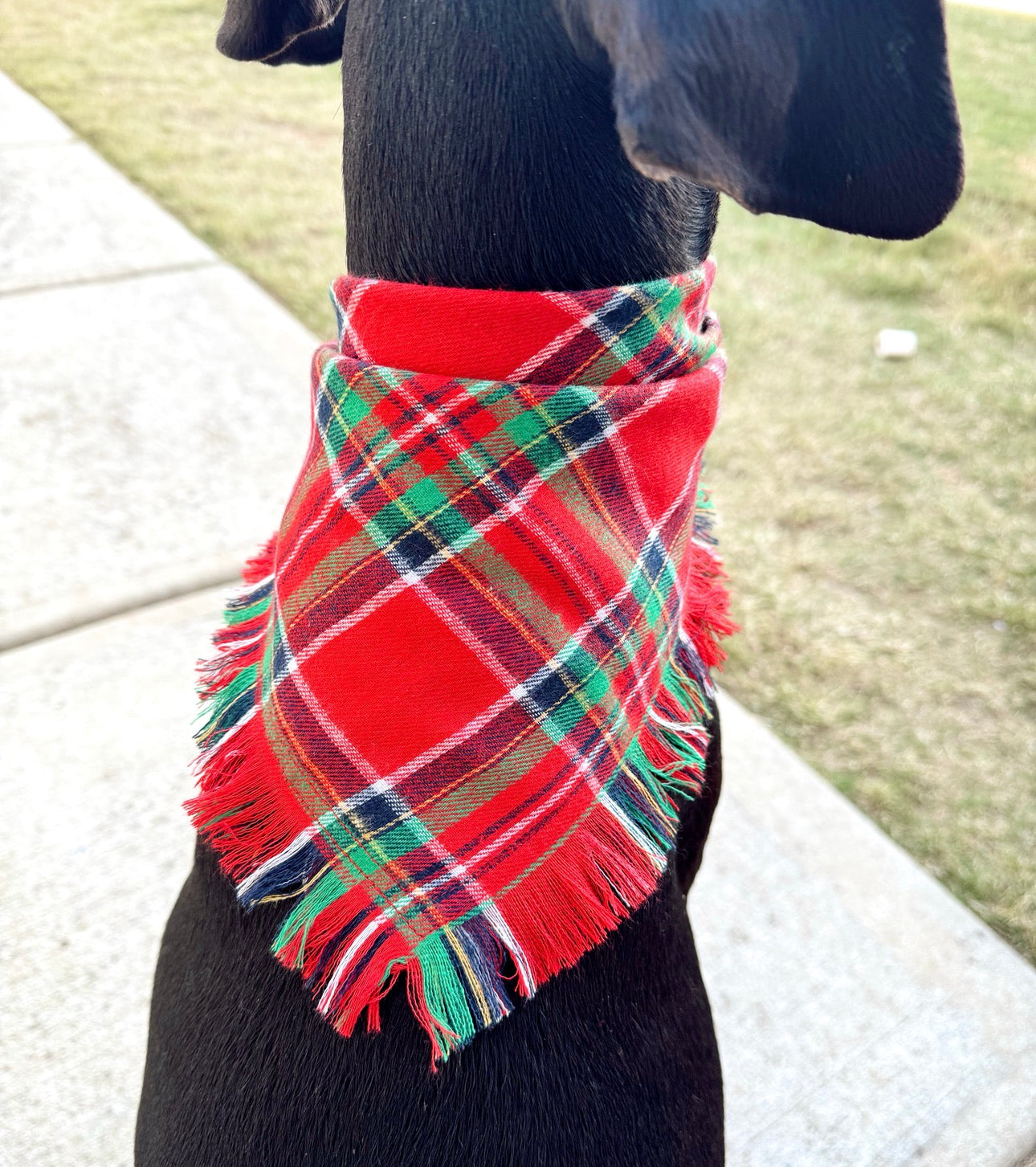 Christmas Fringe Bandana