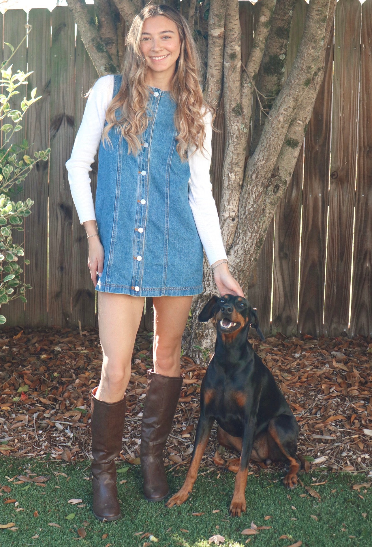 Briley Denim Dress