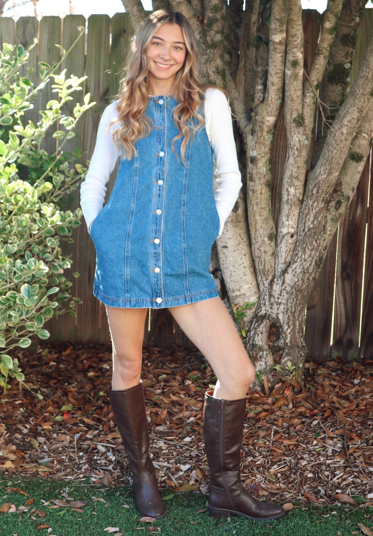 Briley Denim Dress