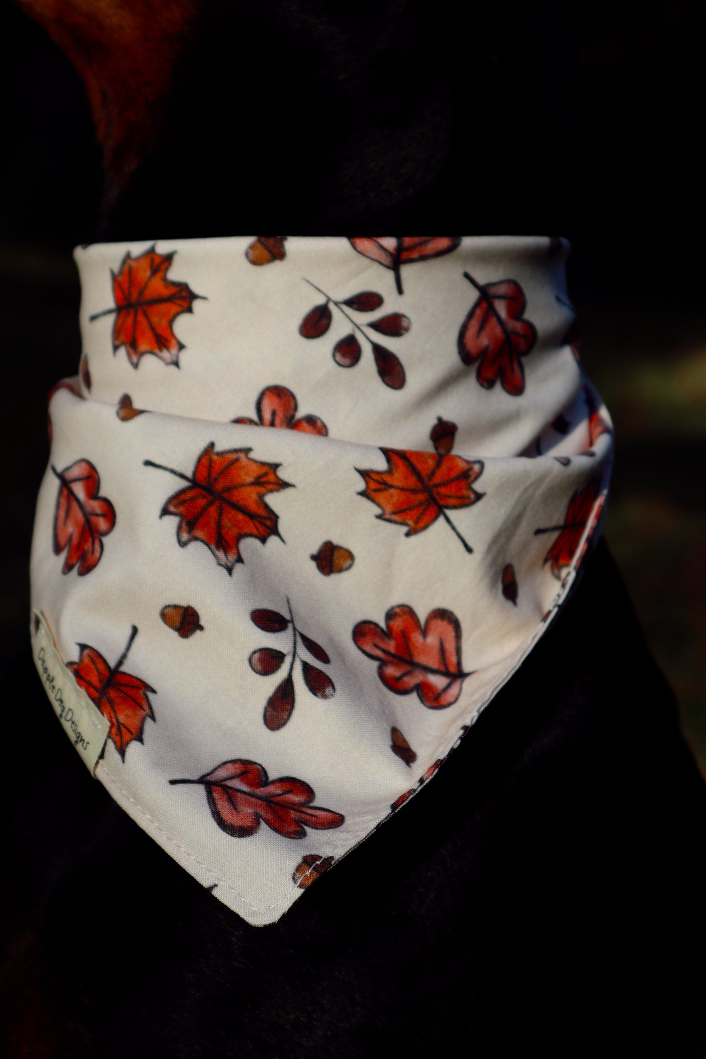 Madi Bandana