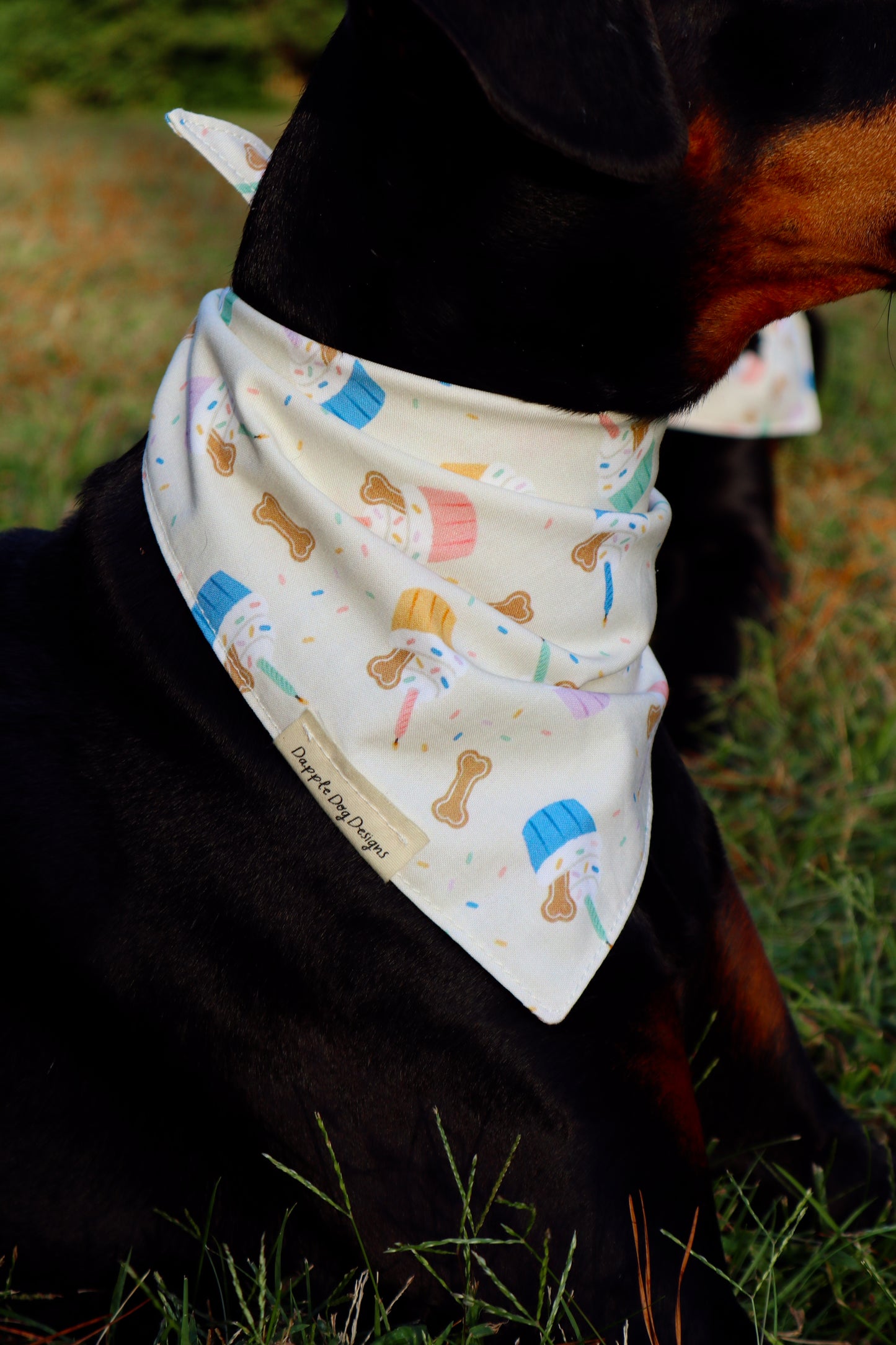 Madi Bandana