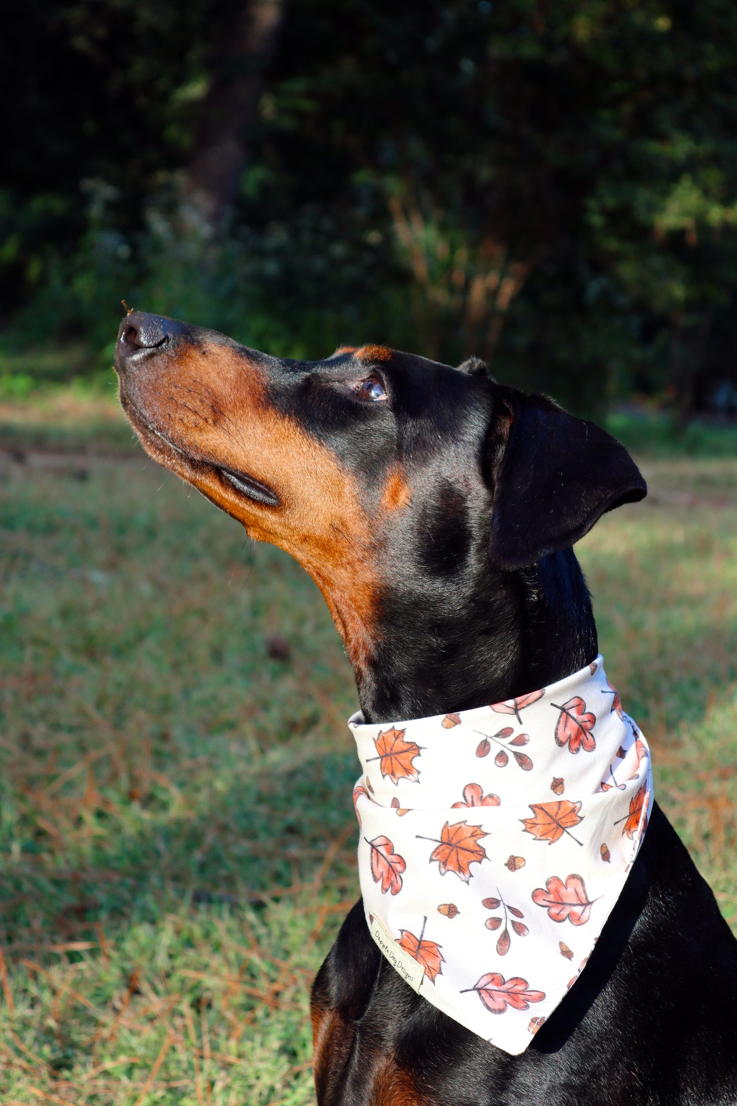 Madi Bandana