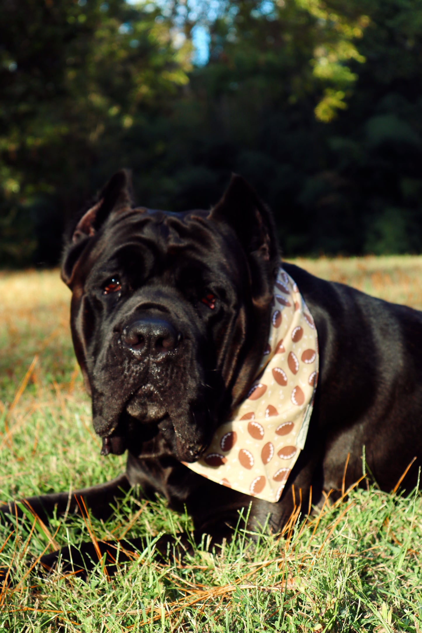 Madi Bandana