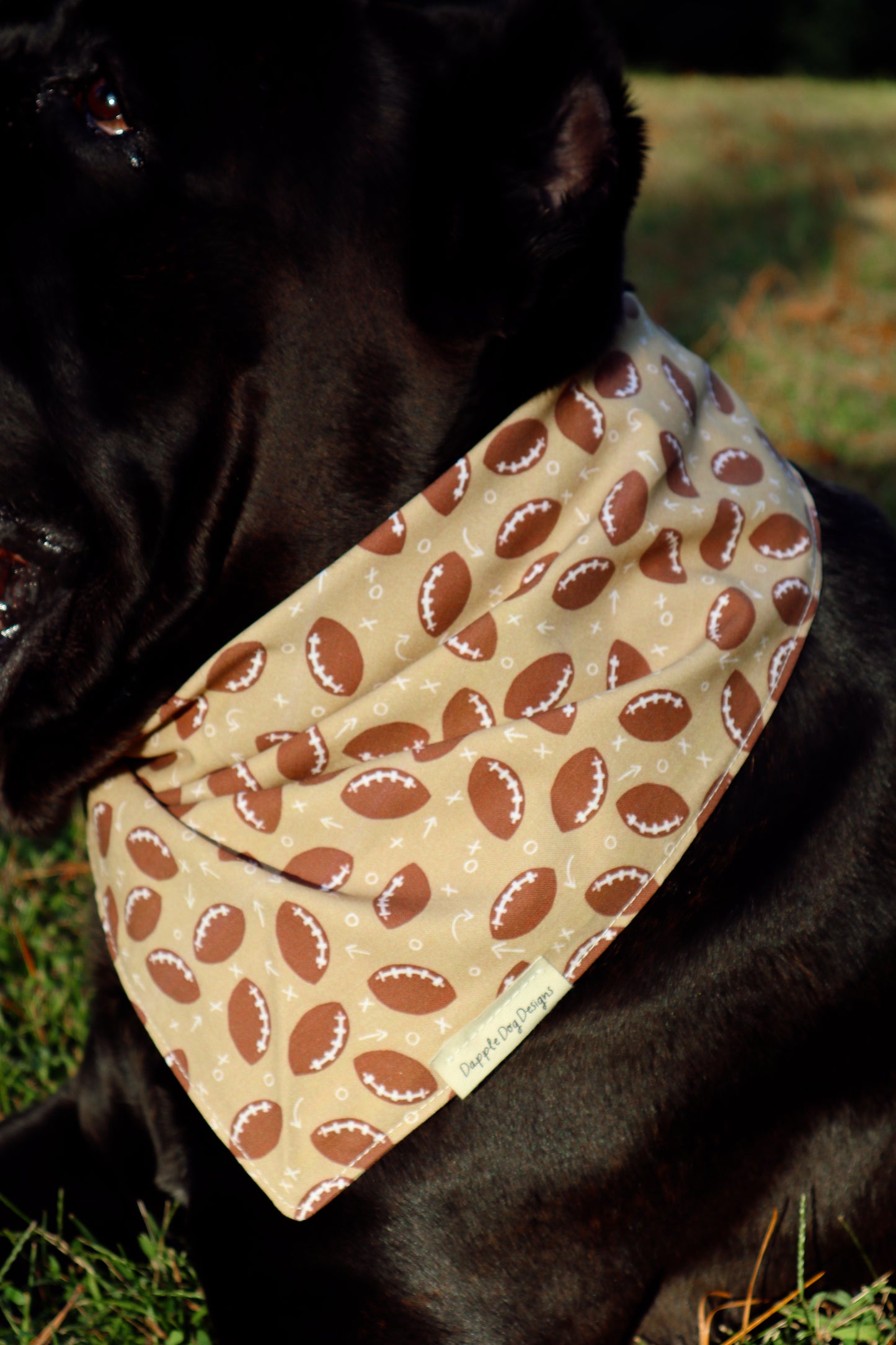 Madi Bandana
