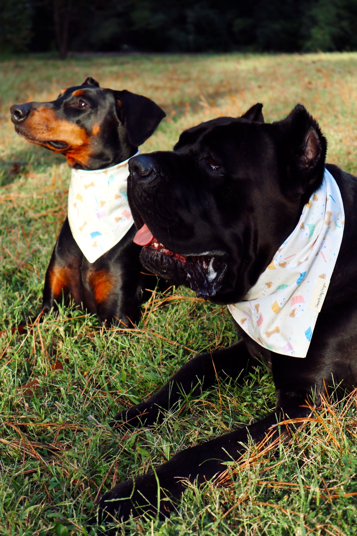 Madi Bandana