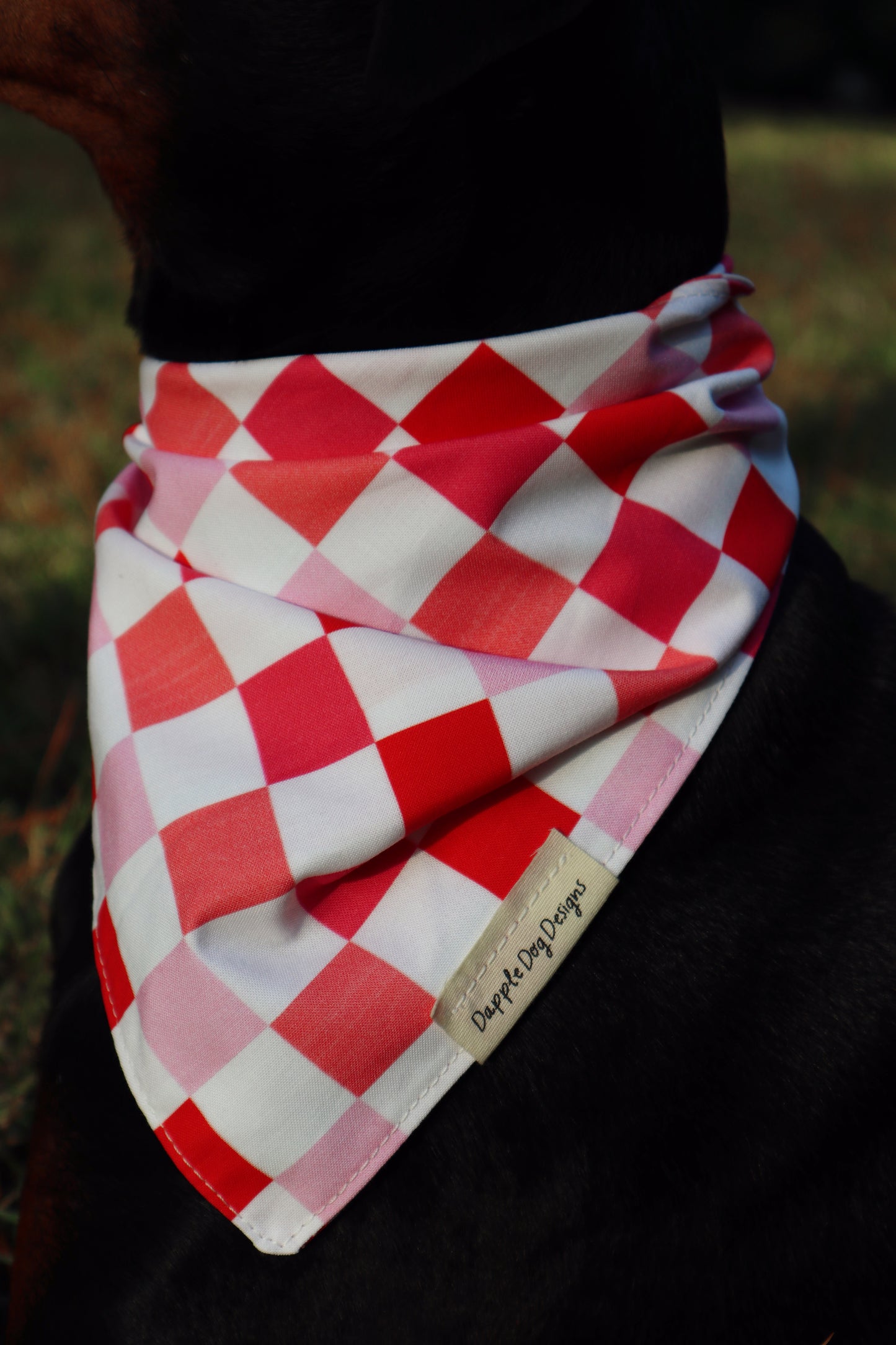 Madi Bandana