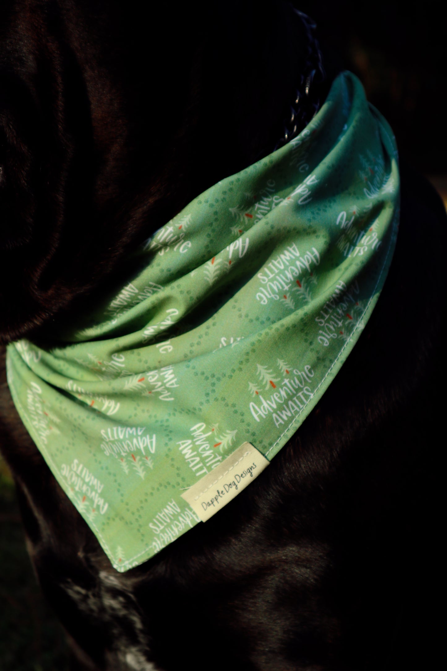 Madi Bandana