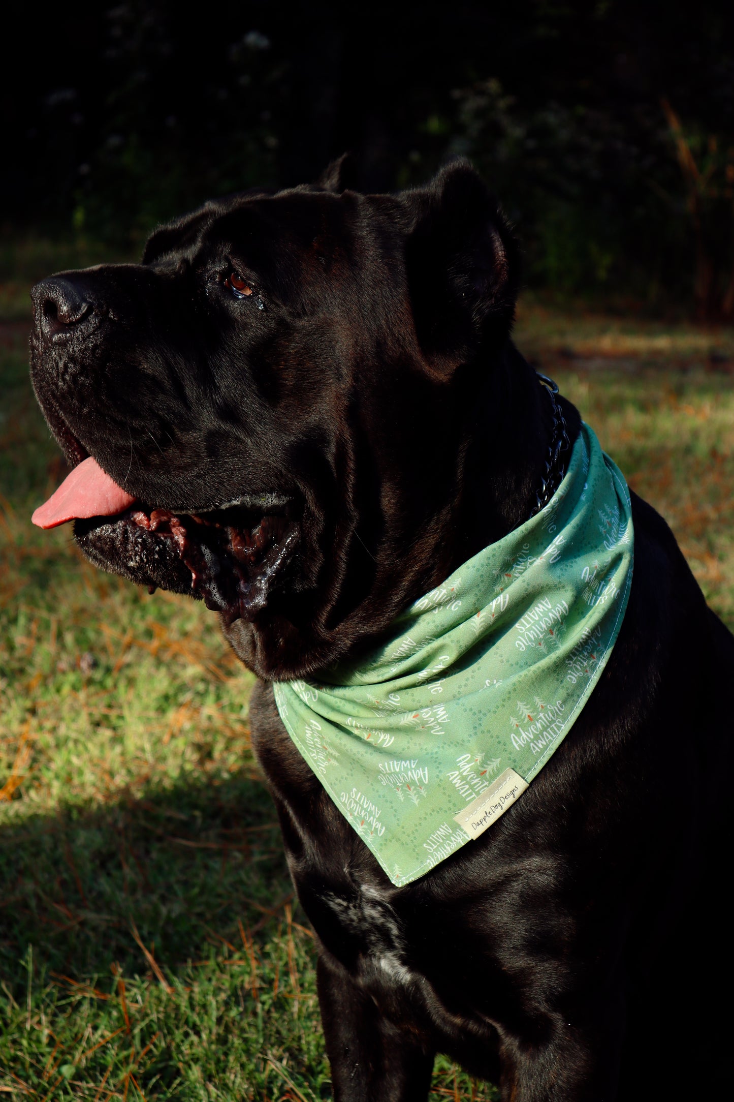 Madi Bandana